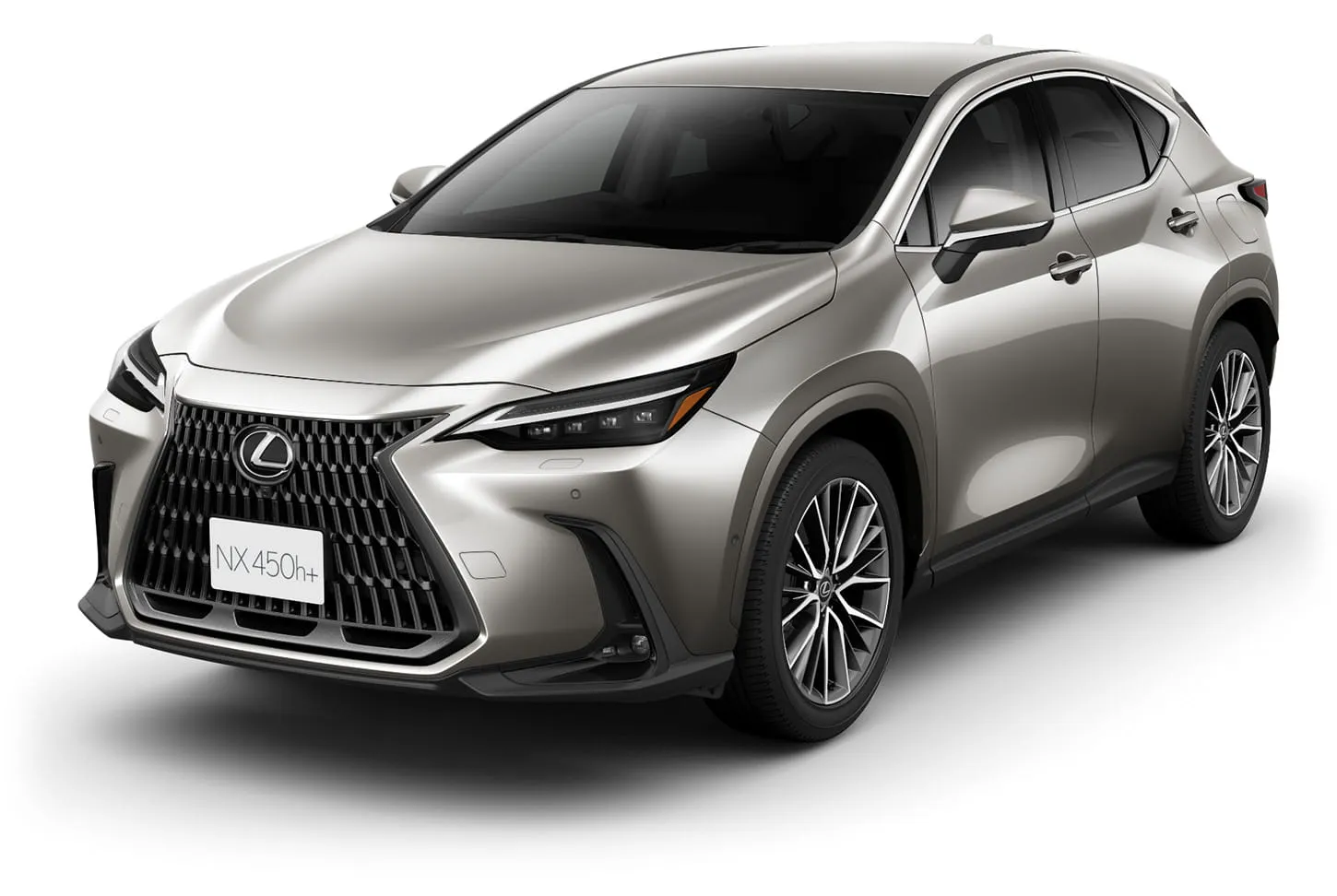 NX300h