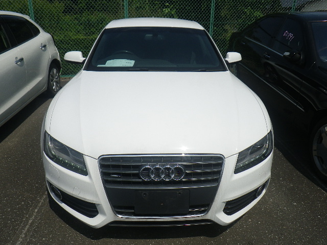 000398567_1 | 車買取のソコカラ
