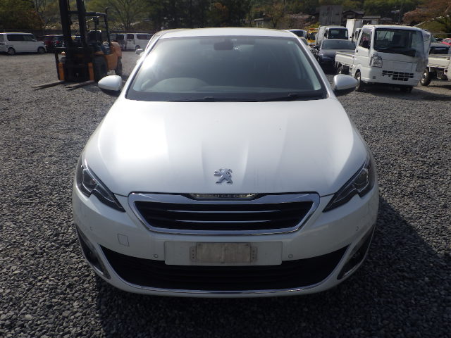 000445472_1 | 車買取のソコカラ