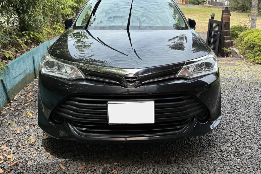 カローラフィールダー買取事例2 | 車買取のソコカラ ソコカラで買取したカローラフィールダーの写真